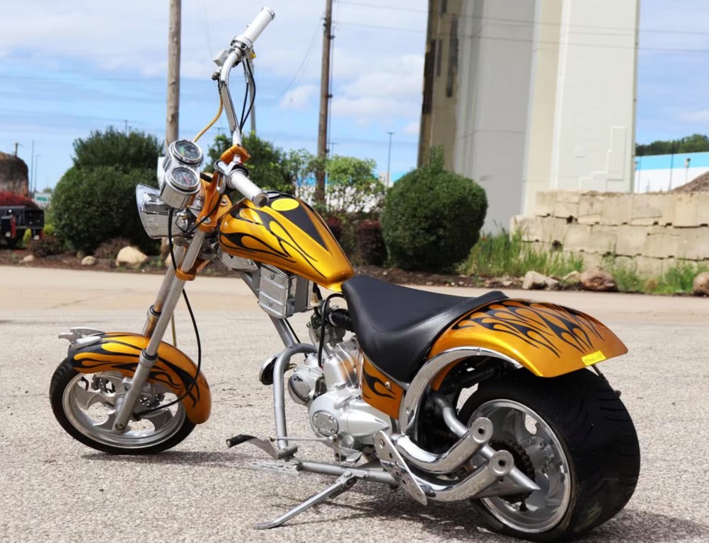 2010 Custom Mini Chopper
