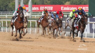 אקשן בחוֹל. צילום: Dubai World Cup