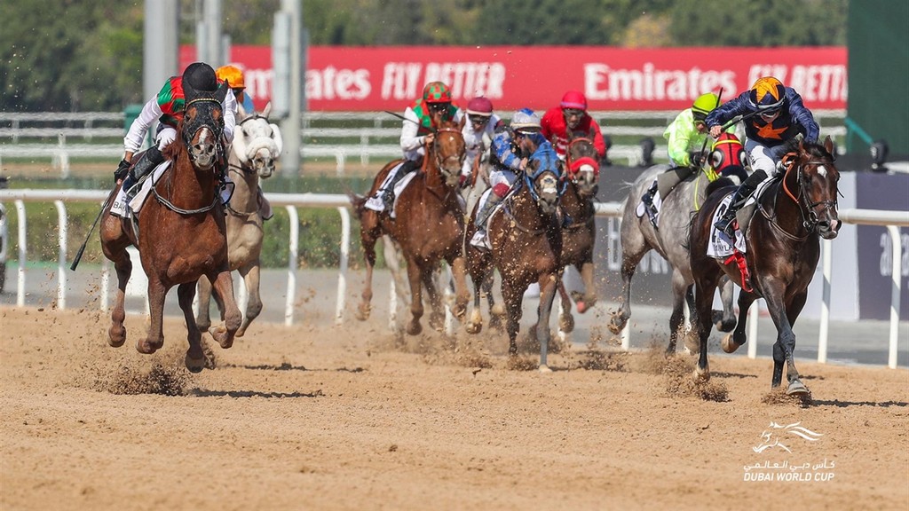 אקשן בחוֹל. צילום: Dubai World Cup