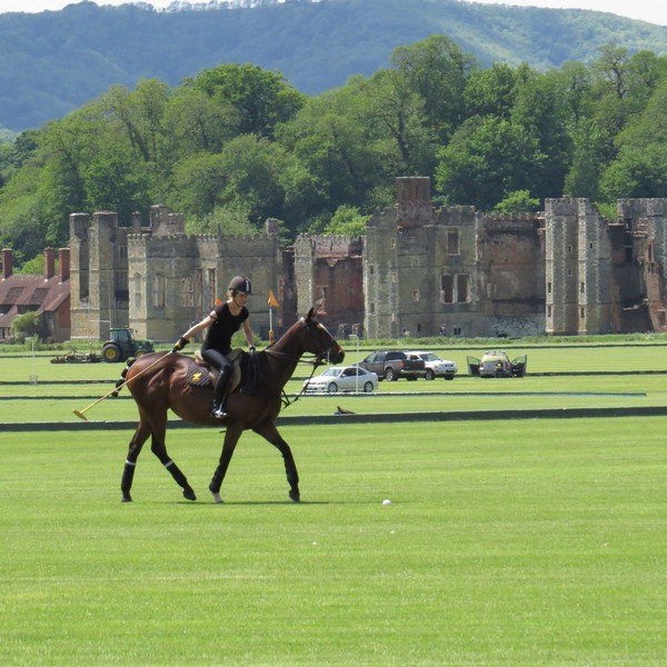 Cowdray Park Polo Club England