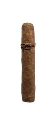 CAO Amazon Basin Rothschild