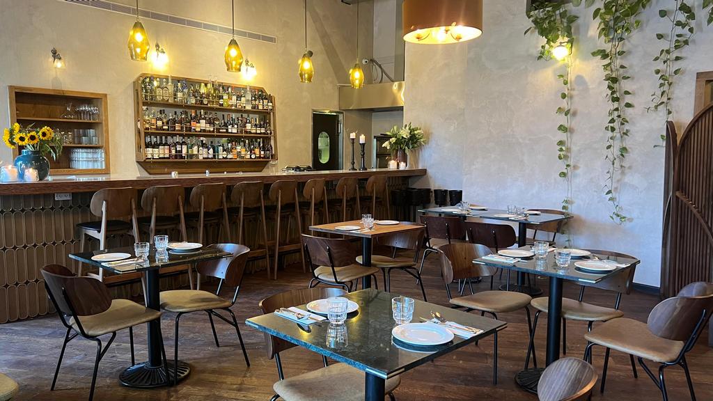 מסעדת תלם. "זה מקום קז'ואל, והשירות מהודק ופיין". צילום: שחף סגל