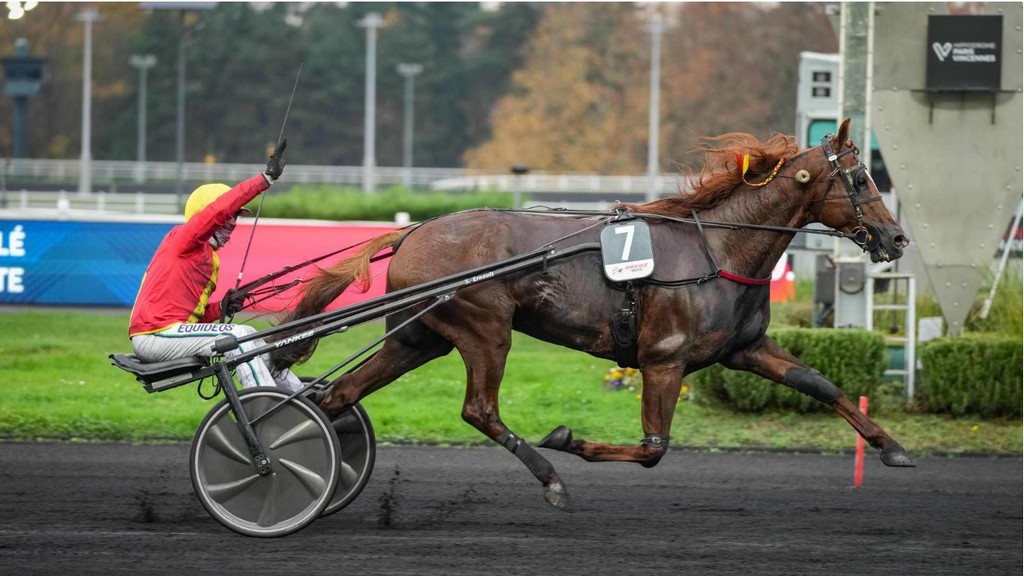 סיבוב הניצחון. צילום: prixdameriqueraces.com