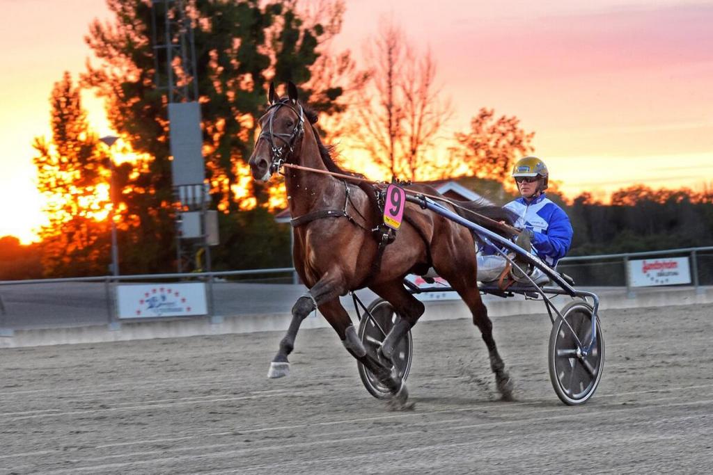 "מחממים מנועים" על רקע שקיעה שוודית, במירוץ Elitloppet. צילום: Fury19